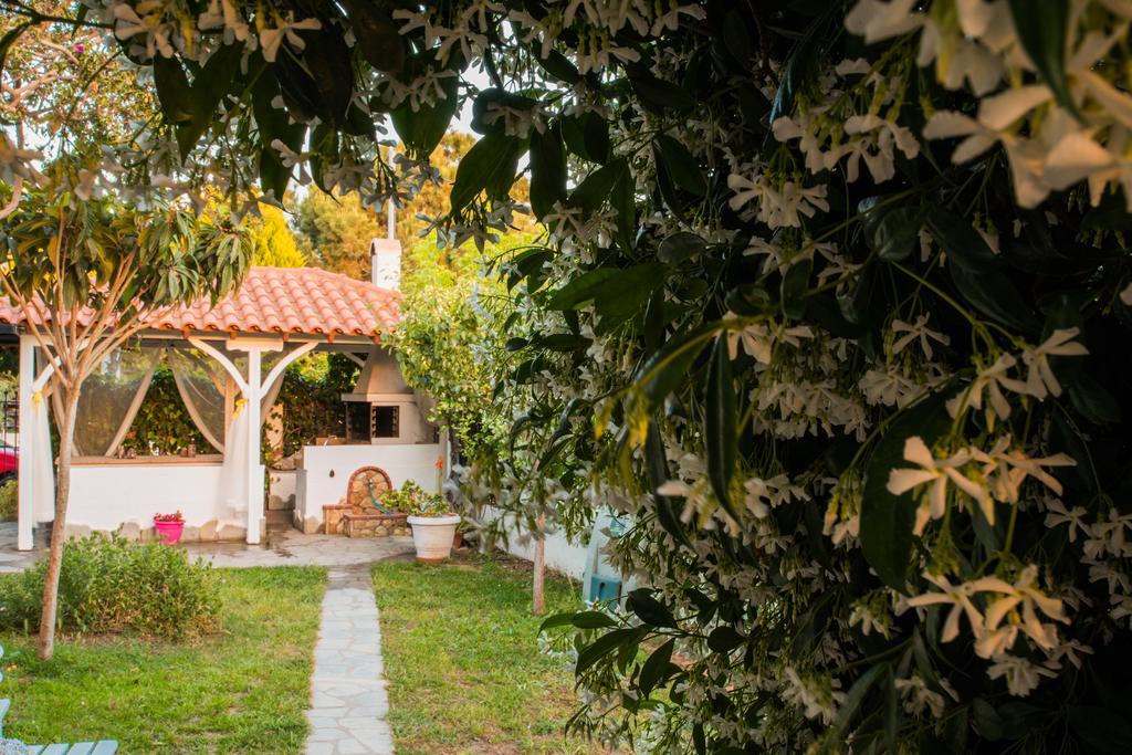 Bouganvillia Homes Νικήτη Εξωτερικό φωτογραφία